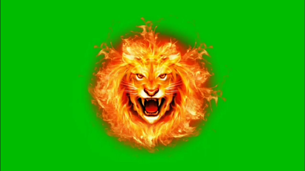 Firy Lion head green screen Animation effects HD chroma key video