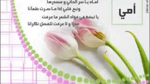 سورة الواقعة بصوت عراقي القارئ هاني المؤمن