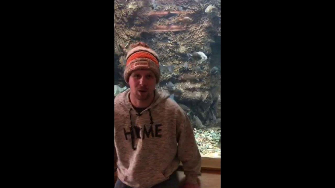 Exploring the Cabela's Fish Tank shorts YouTube