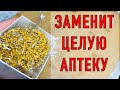 ЗДОРОВАЯ ПОДЖЕЛУДОЧНАЯ, ПЕЧЕНЬ , ПОЧКИ, И ЖЕЛУДОК\ ДЛЯ ЗРЕНИЯ И…