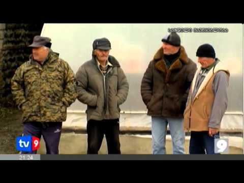 ახალი 9 | საზღვარზე დაკავებულები | 27.01.13