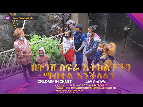 ቪዲዮ: አትክልቶችን እንዴት እንደሚፈጩ