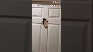 Send This To Your Friend At 3 Am