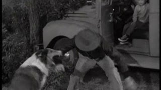 Lassie - Episode #174 - "Rock Hound" - Season 5, Ep. 31 - 04/05/1959