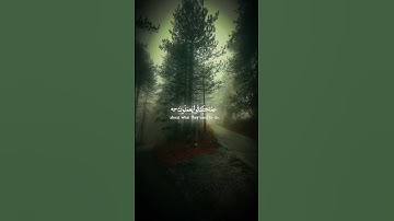 القرآن الكريم - سورة الحجر - الآية 92 الى 94