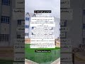 معهد نفط معهد نفط
