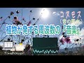 【繁栄・家や職場の人間関係・知名度UP・丹田・528 Hz】富士山のエネルギーをたっぷり受け取った『秋桜』による演奏「音の風水」× 聴けば聴くほど「TimeWAVER」の調整が入る♪（Part 36）