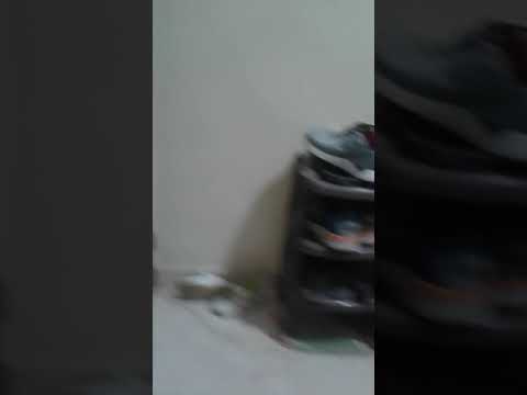 ٢٤ ابريل ٢٠٢١