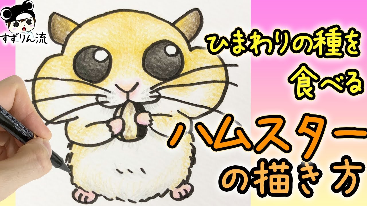 Cute Illustration How To Draw A Hamster Eating A Sunflower Youtube