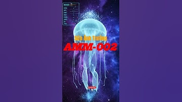 Sứa Ánh Trường Nhỏ (AMM-002) — Đèn giao thông dịu dàng của rạn tinh vân | Tier T0 | Tập 2