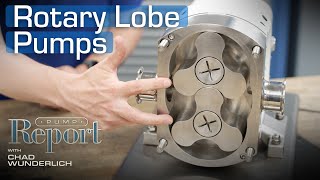 How Rotary Lobe Pumps Work
