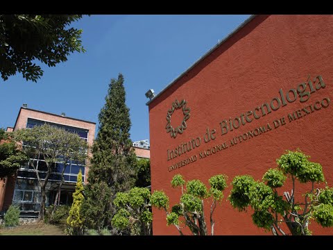 El Instituto de Biotecnología - UNAM