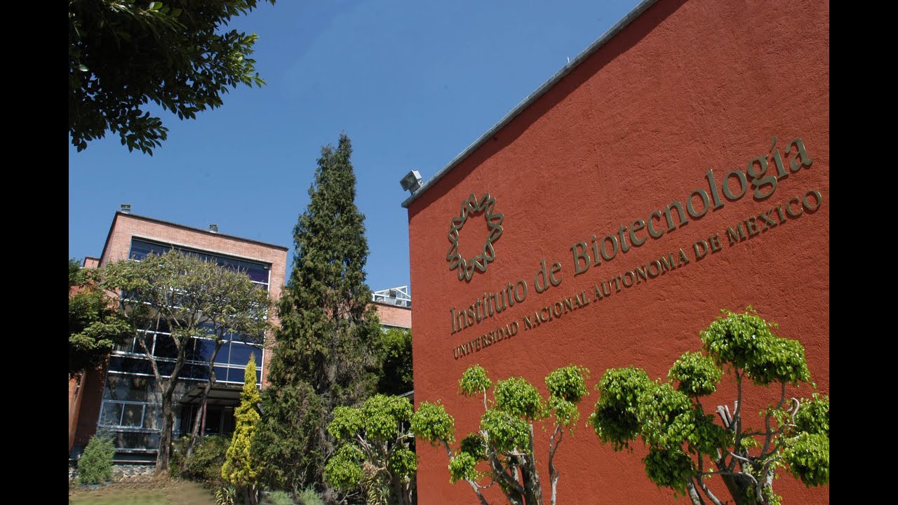 El Instituto de Biotecnología - UNAM - YouTube