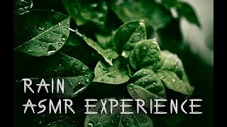 City Rain ASMR: Natural sounds Immersive Urban Ambiance