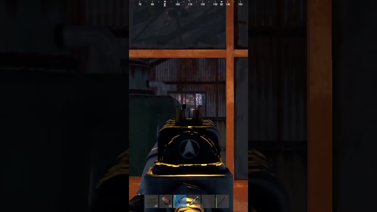 11 bullets 2 kills ! 