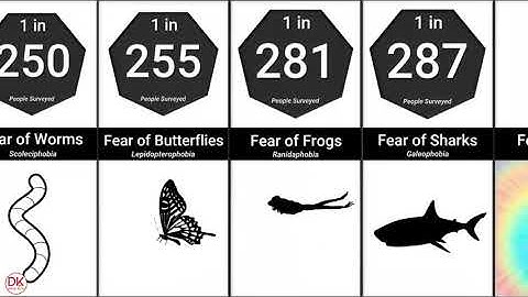 Probability Comparison: Phobias and Fears | Scared anxiety