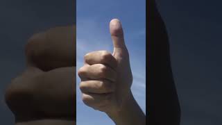 Opposable Thumbs A Select Club In The Animal Kingdom