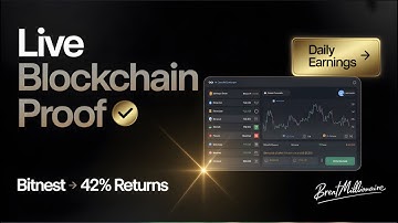 LIVE Blockchain Proof Bitnest Earns 42% from $100K+ Loans to Pay You