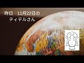 昨日2022年11月22日のティテルさん　2022年11月23日