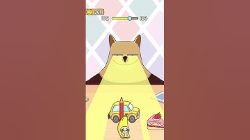 Cat Escape Level 102: Can You Find the Hidden Kitty? 🐾