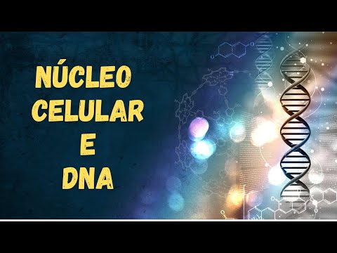 Vídeo: A Presença De Uma Nova Estrutura De DNA Em Células Humanas Foi Confirmada - Visão Alternativa