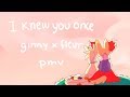 ~ I knew you once ~ Ginny x Fleur PMV Commission