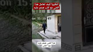 شاهدوا كيف تعامل هذا الفتى مع كلب هجم عليه