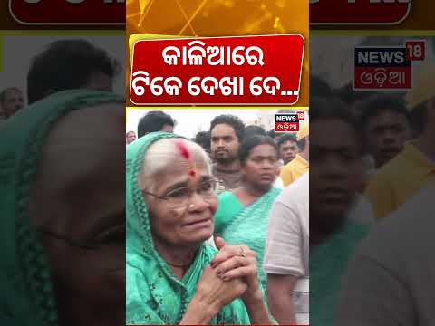 କାଳିଆକୁ ଟିକେ ଦେଖିବାକୁ ବ୍ୟାକୁଳ ବୁଢ଼ୀ ମାଉସୀ ! Puri Ratha Yatra | Puri Jagannath Ratha Yatra 2026