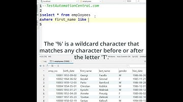 SQL Query To Print the Details of Employees Whose first_name ends with 