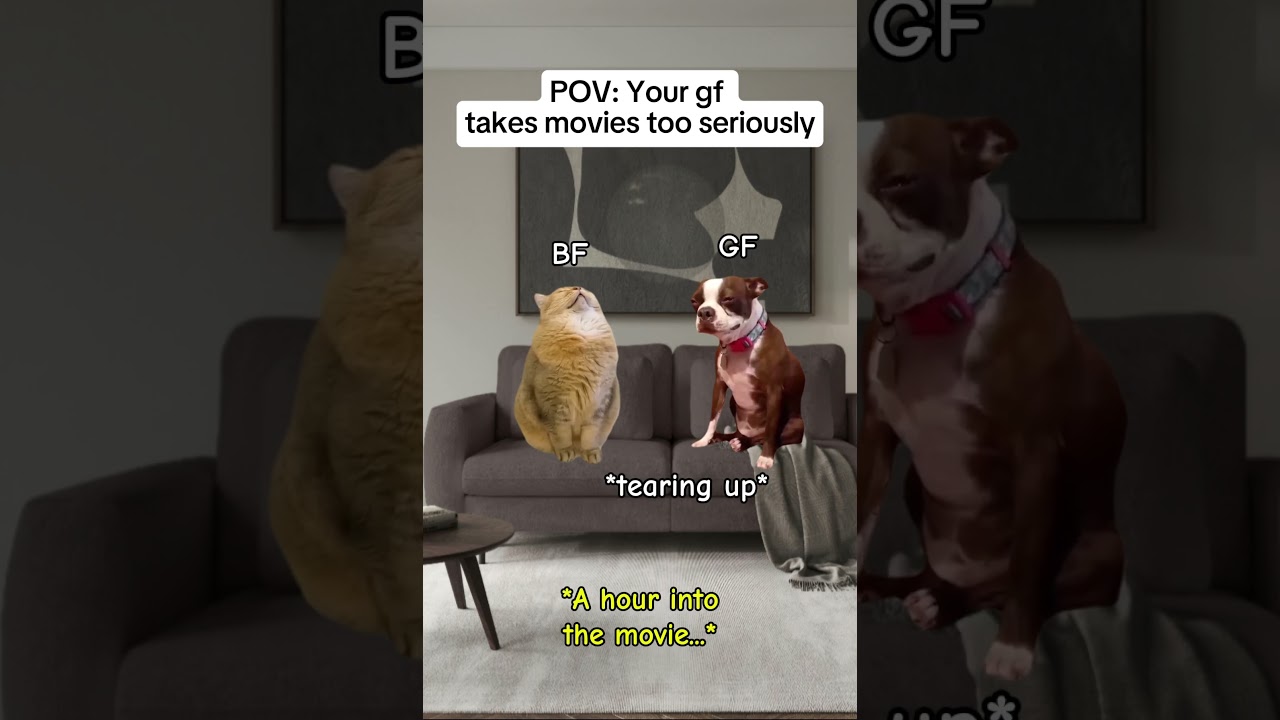 Funny pets stories (watching a movie with your gf) 