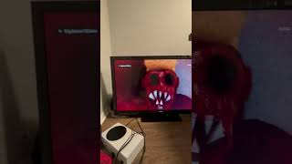 IMG 0259