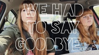 Saying goodbye to Bugs Land | TWOLILREDS