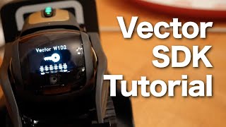 Vector SDK Tutorial & Controlling Without Code