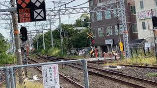 225系快速和歌山行き到着と287系くろしお8号新大阪行き発車　阪和線和泉砂川駅