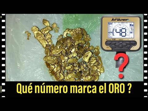 Video: ¿Pueden los detectores de metales detectar oro?