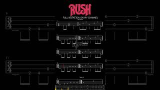 Limelight 𝄢 #rushbass #chamisbass