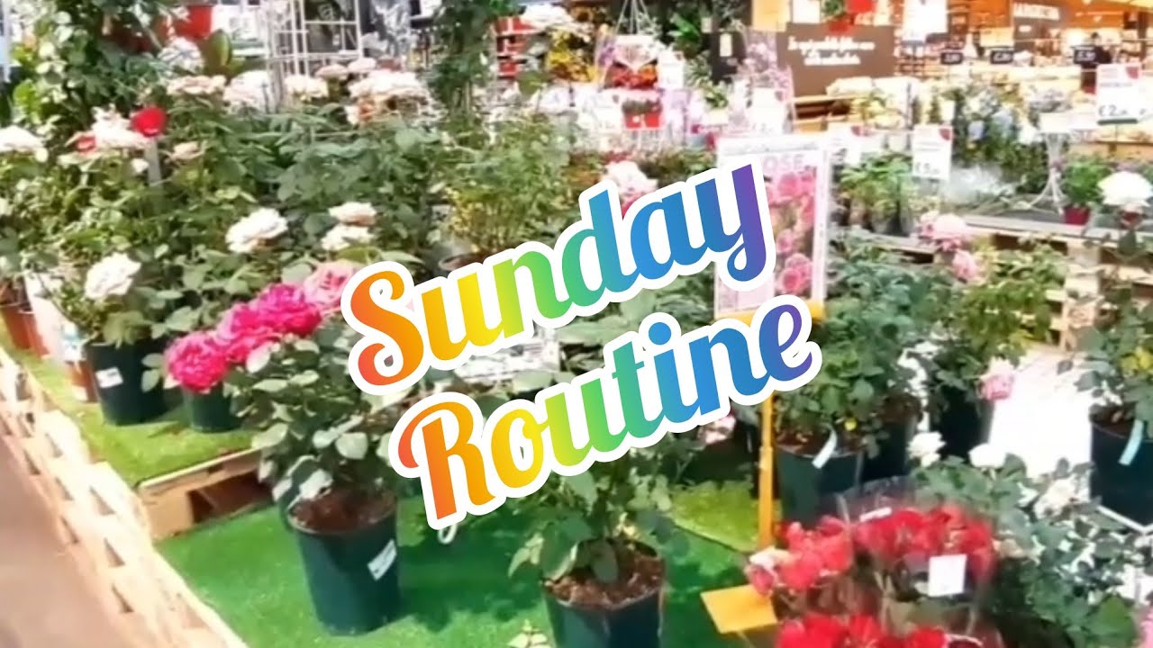 Sunday routine / all day vlog / weekend routine!!!