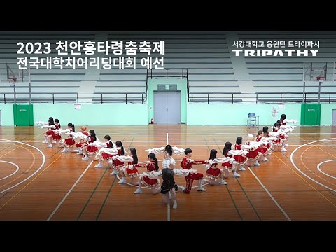 [2023 서강대학교 응원단] 천안흥타령 춤축제 - 전국대학 치어리딩대회 예선
