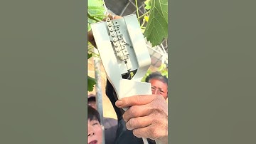 Fruit Thinner – Good Tools Can Improve Work Efficiency #Tools #Efficiency #Farming