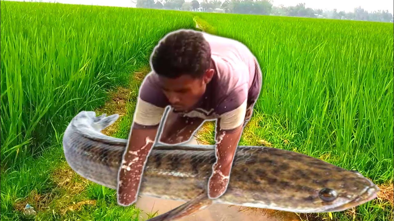 Unique Bast Fishing in River 2022!!Amazing Technical Kids Fisherman in River Style 💔Search Big fish