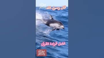 يقول النبي ﷺ عن فضل قراءة القرآن وعن سورة البقرة وأ ل عمران ...