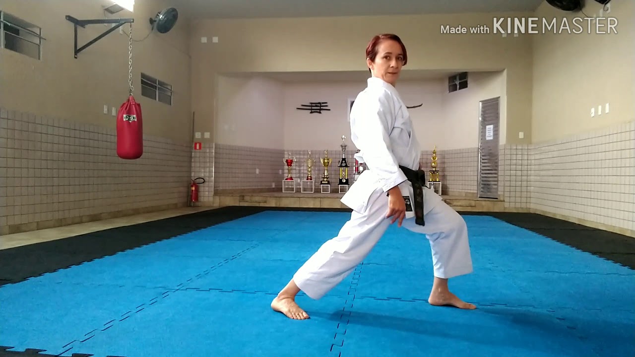 APRENDA A USAR O QUADRIL NO KARATÊ!