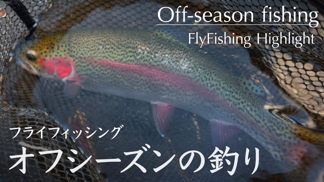 オフシーズンの釣り｜フライフィッシング 2025.12.6 Flyfishing Highlight