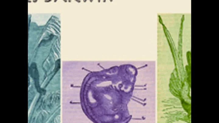 The Descent of Man and Selection in Relation to Sex, Part 3 by Charles DARWIN | Full Audio Book