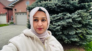 Mahreen Sibtain Vlogs|| I have tried to answer all your questions🙏remaining will be answered too🙏❤️🙏 Profile