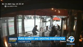 Brazen purse snatcher caught on camera in Culver City