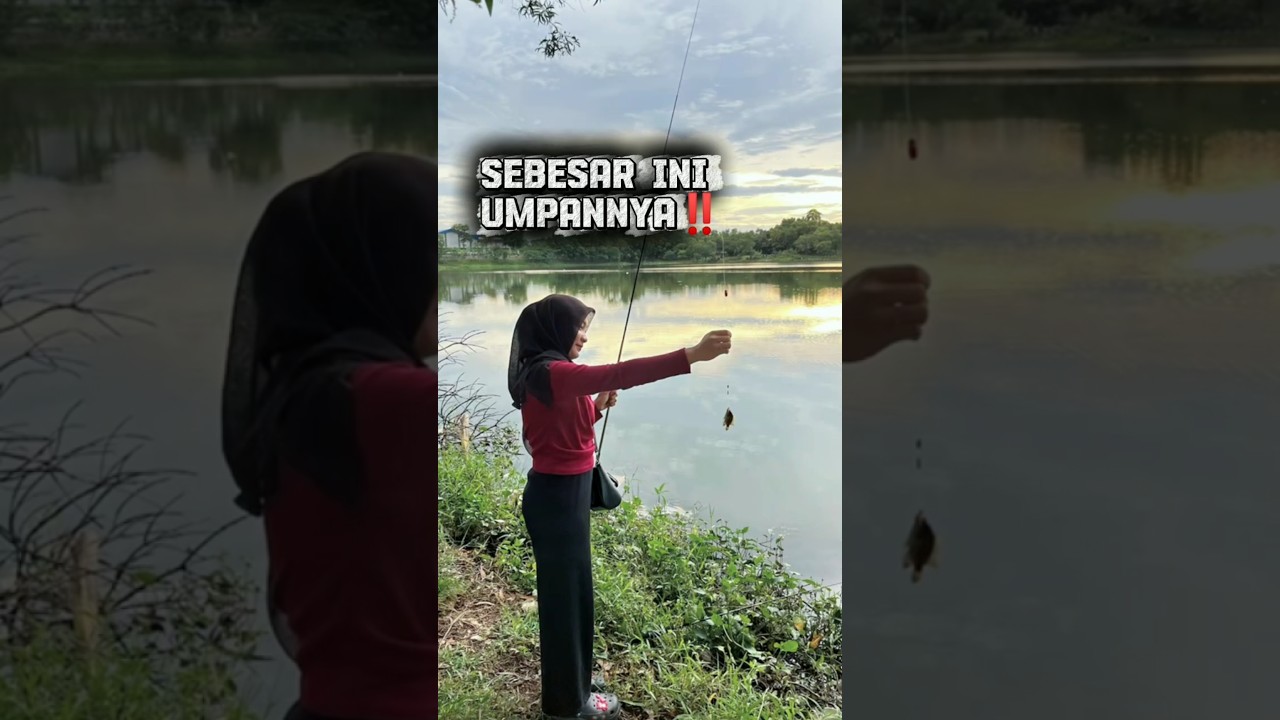 Mancing ikan disungai besar 