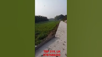 TẬP 319 BÁN ĐẤT THỔ CƯ GIÁ RẺ GẦN KHU CÔNG NGHIỆP TÂN HƯƠNG. #nhadattiengiang #nhadatminhtien