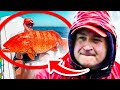 Deadliest Catch BIGGEST Catches!