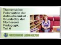 Themenvideo: Die  „Polarisation der Aufmerksamkeit" - Grundsätze der Montessori Pädagogik Teil 6: